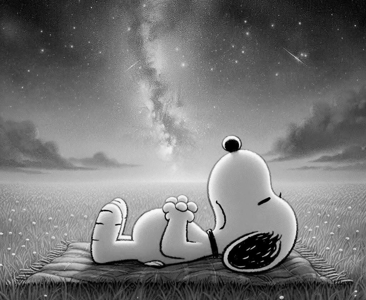 No me fui a la primera grieta.
No salí corriendo cuando incomodó.
Me quedé a hablar, a intentar ajustar, a comprender lo que parecía desorden.

Puse tiempo, paciencia, voluntad.
Lo intenté desde la madurez, no desde el capricho.

Hice lo que estuvo en mis manos.
Escuché más de lo