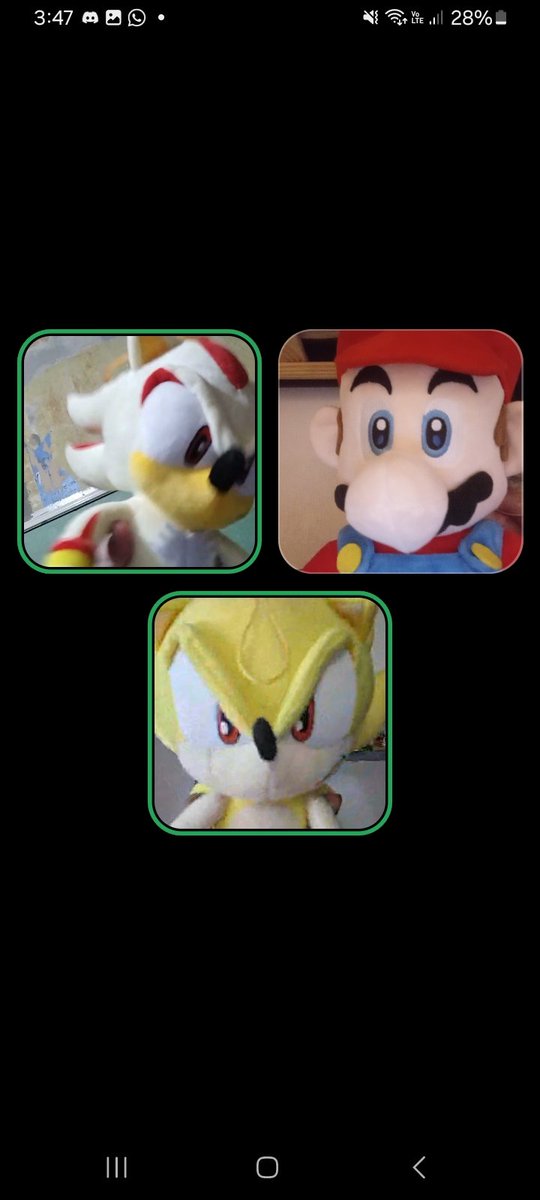 Que hizo Mario para que se transformen?