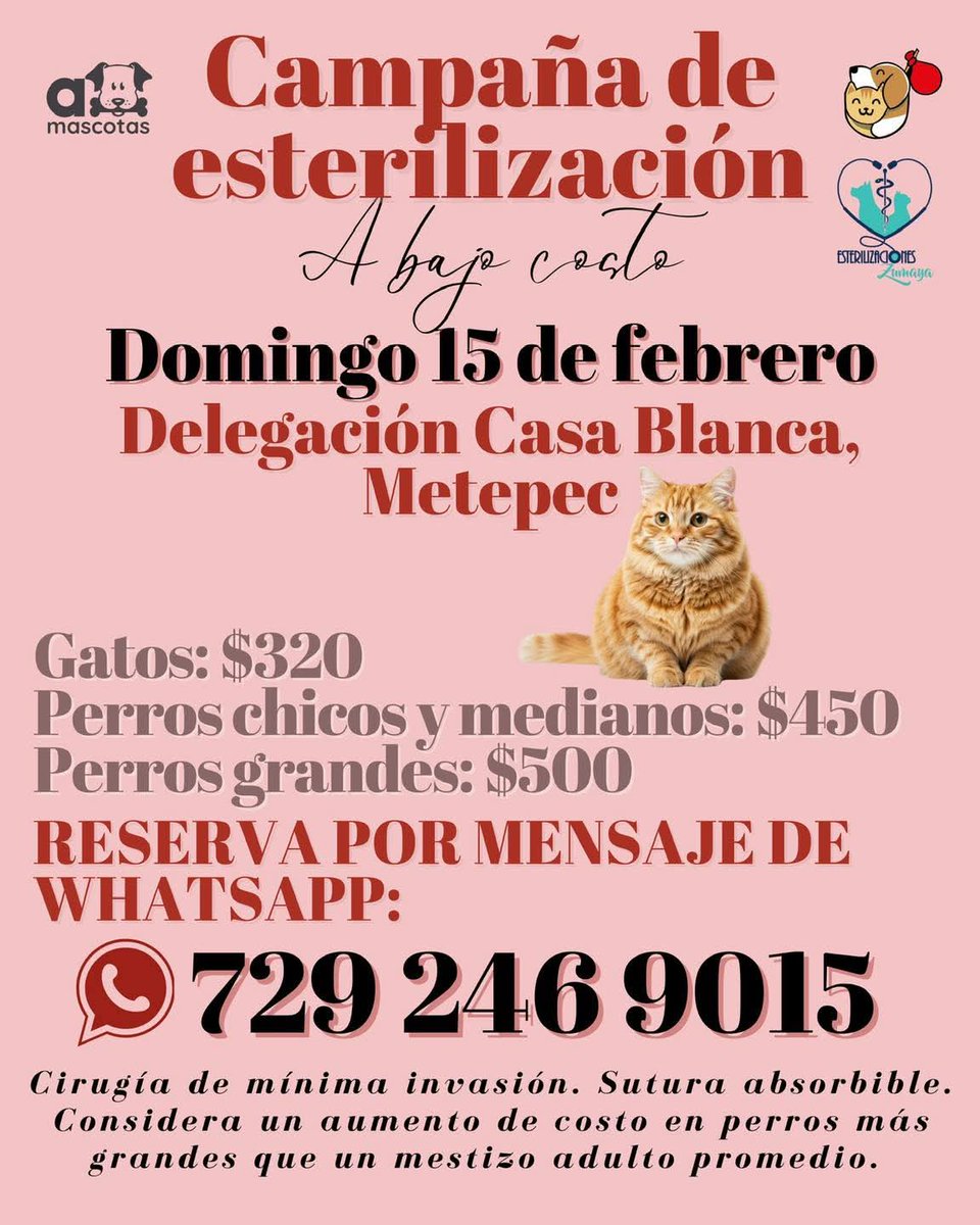 Proyecto Six Pack tweet media