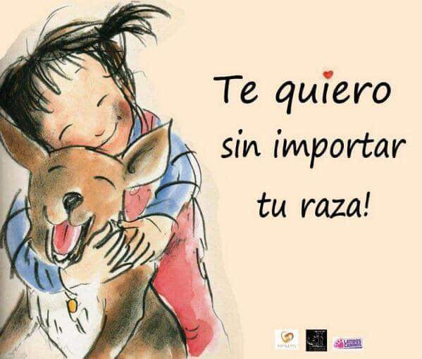 Proyecto Six Pack tweet media