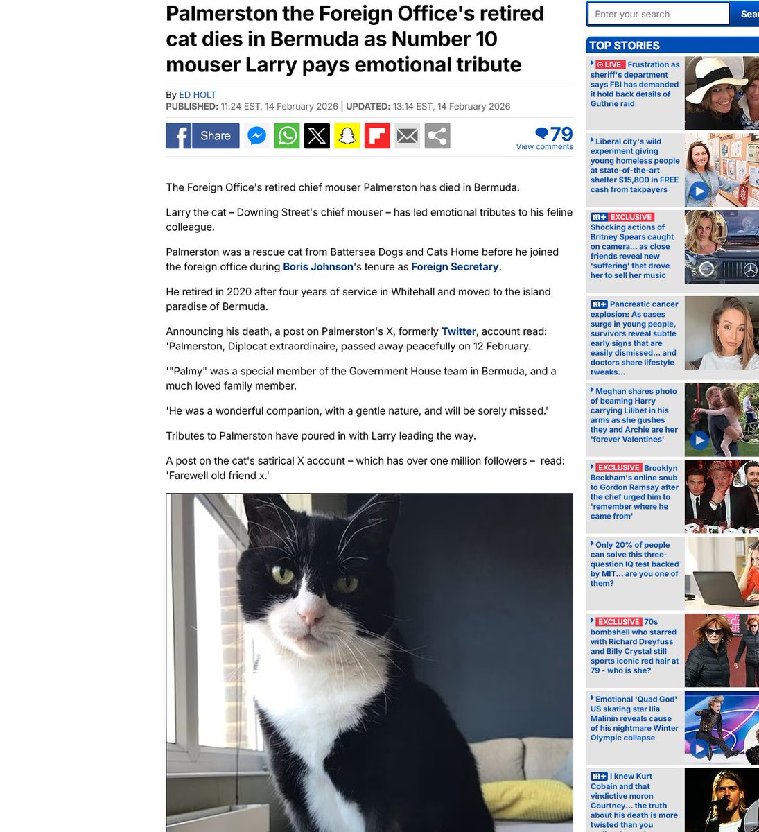 amazingdev02's tweet image. I JUST FOUND SOMETHING INSANE

A famous cat named Palmerston JUST DIED TODAY!!

He was the former chief mouser for the Foreign Office and has already had 1000+ people tweet about him passing away 

Literally a KitKat level narrative

dailymail.co.uk/news/article-1…