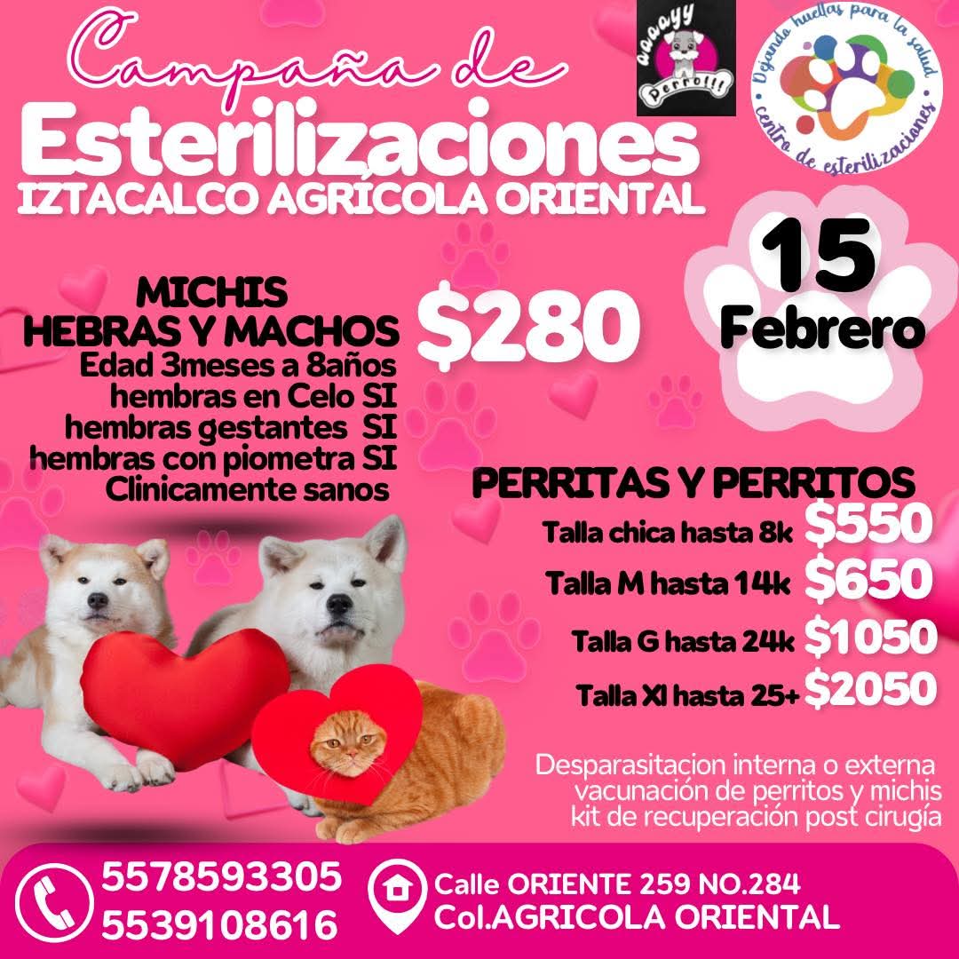 Proyecto Six Pack tweet media