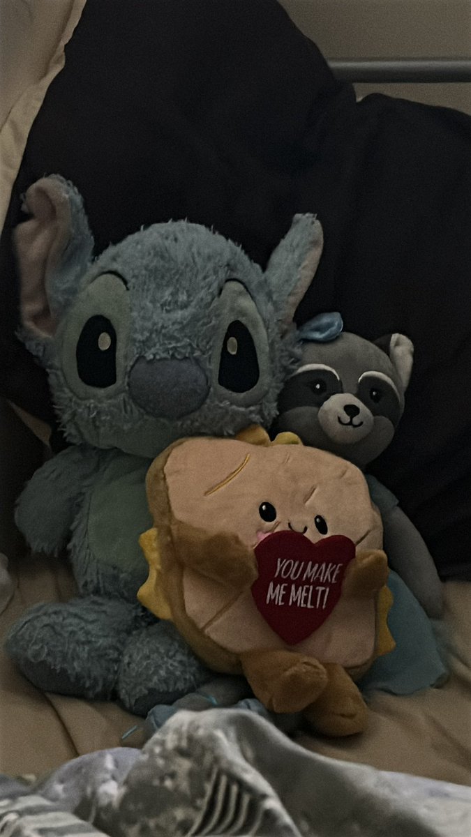 So; my man bought me a plushie in the form of a cheese toastie for valentines’ day 
So in this photo I have my favourite plushies 
My favourite alien dog, my favourite raccoon and my favourite food (lol) 
Happy Valentine’s Day everyone ❤️