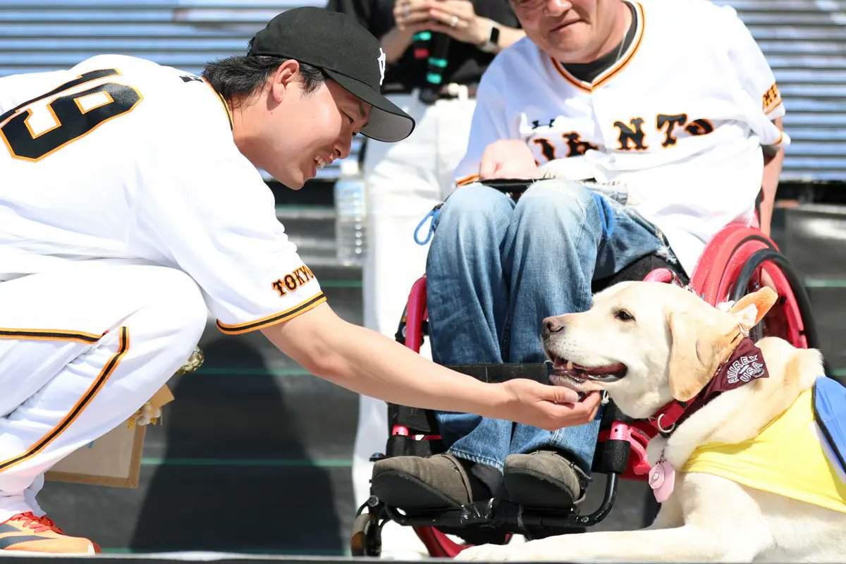 介助犬の仕事ぶりを #山﨑伊織 投手がPR 一軍の那覇キャンプが行われて 
