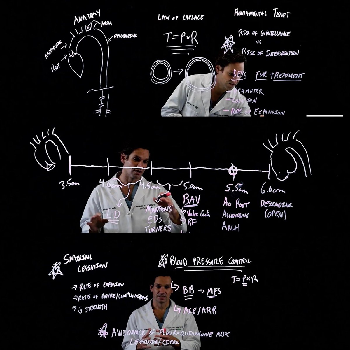 Marvi Tariq, MD tweet media