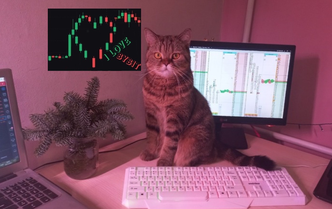 TusikSoon's tweet photo. I don’t fall for promises. I fall for performance. Bybit seduced me with tools, speed, and rewards — and never broke my trust. That’s rare. #BybitVal 
@BybitAfrica
 💎
@IArdasova
 
@katyL1M
 
@Ryzhkov_Pavel
 
UID 143986571 https://t.co/fOKNsoYPuP
