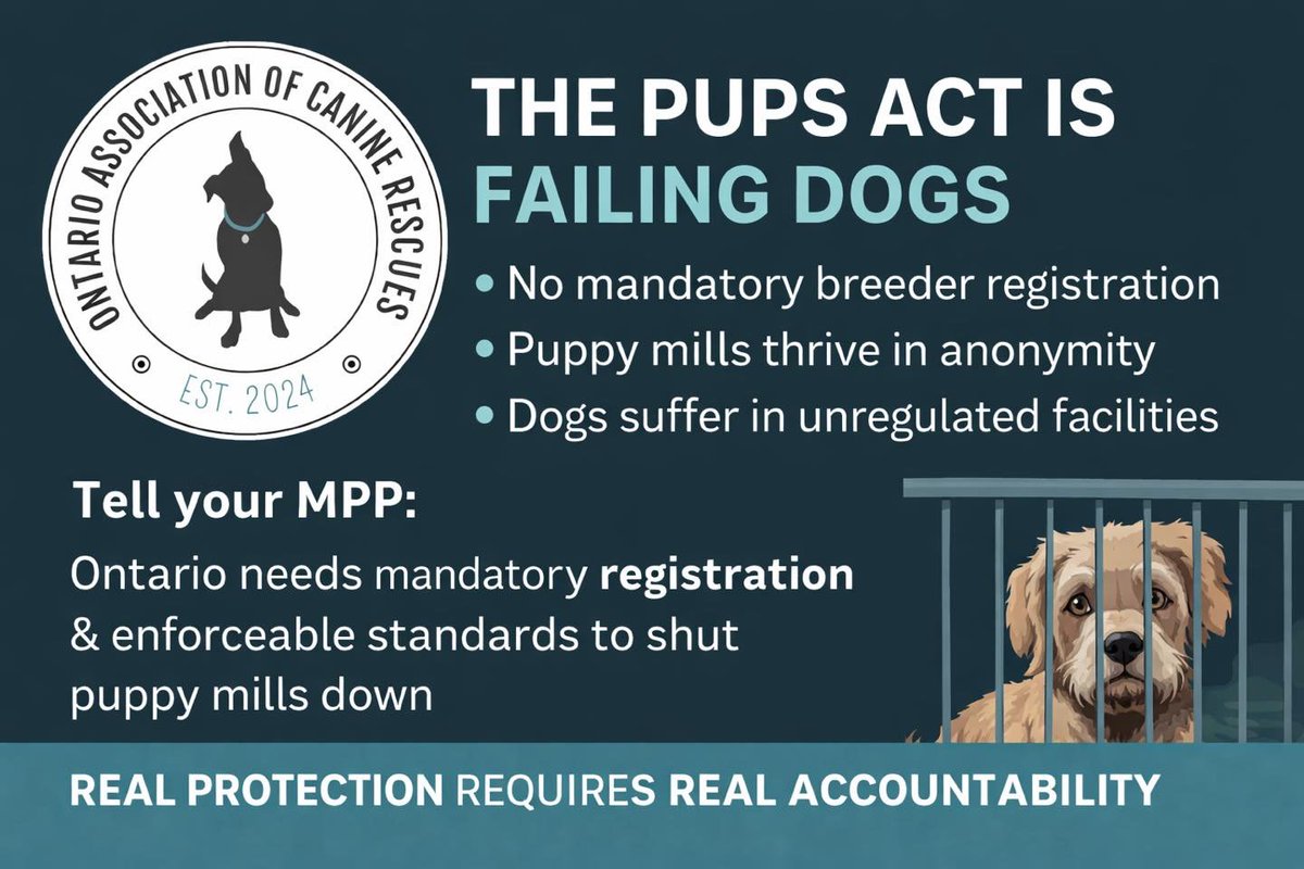 Junie Jones: My Personal Voice! tweet media