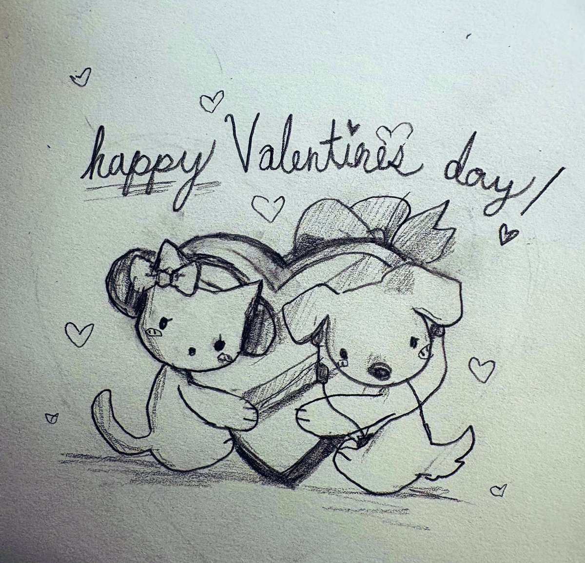 kira燦🐾 tweet media