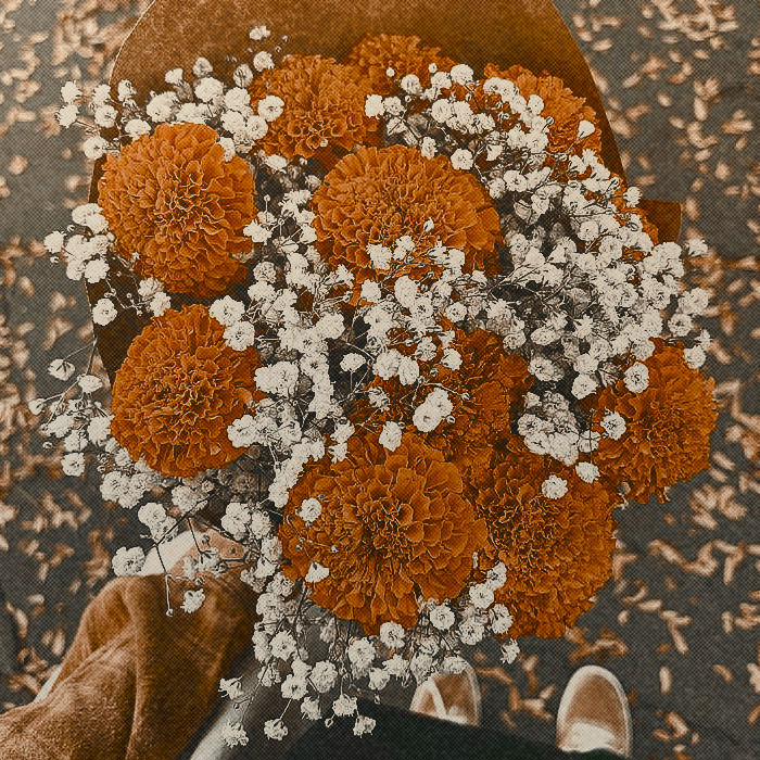 𝐈 𝐊𝐍𝐎𝐖❟ 𝐘𝐔𝐍ⲻ𝐇𝐎. tweet media