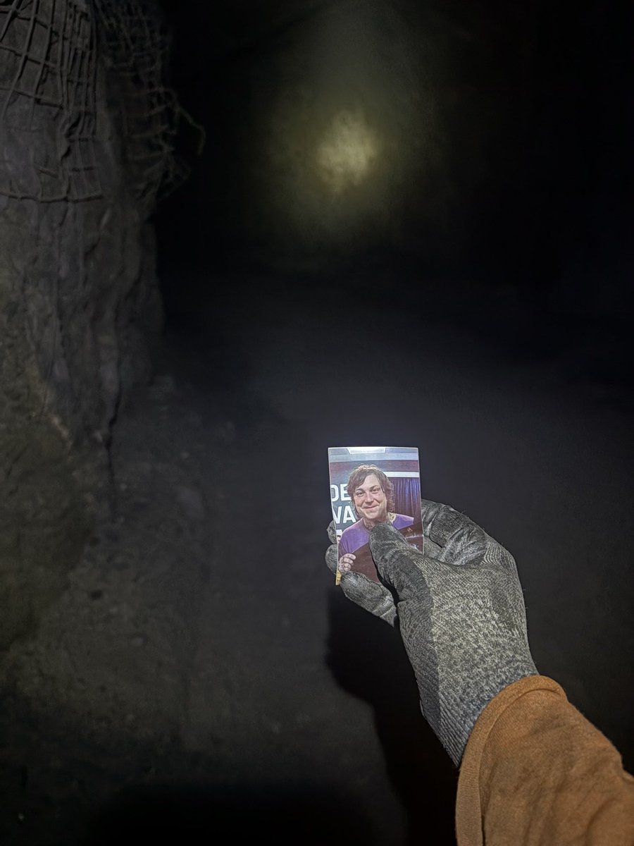 thal 🌋 tweet media