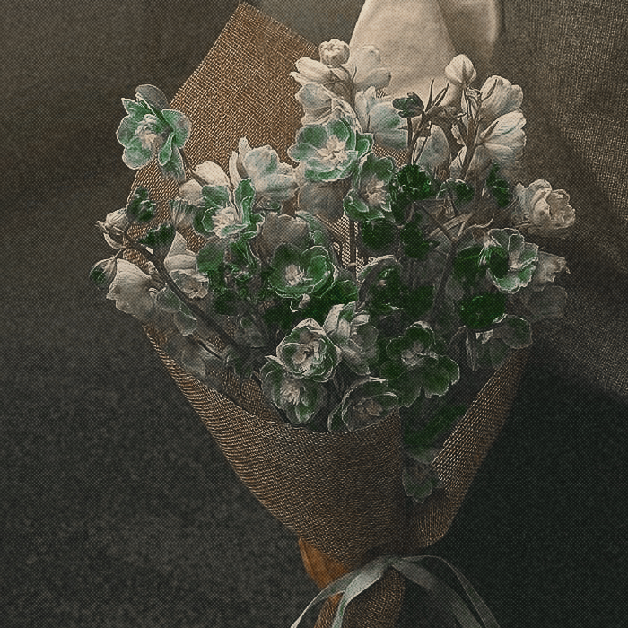 ๐ ๐๐๐๐โ ๐๐๐โฒป๐๐. tweet media