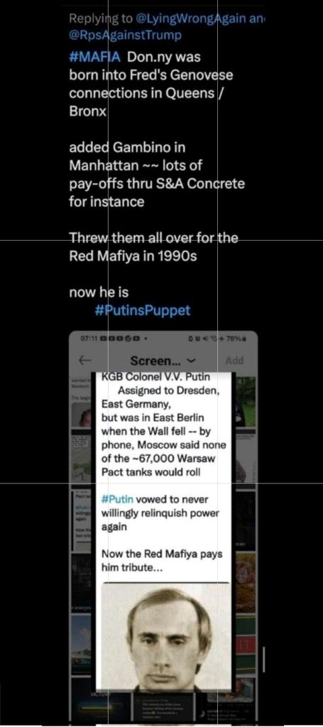 rossow_mark's tweet image. #Career   #Criminal 

          #VennDiagram  of  #MAFIA   #Alliances   in #20thCentury

          #PutinOwnsTrump
in  #21stC