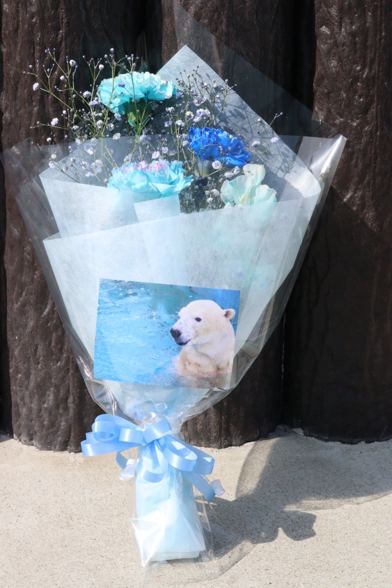 ゴーゴ　ずっと大好き❤
たまにひょっこり現れてほしい
2026.2.15
#TLをゴーゴでいっぱいにしよう