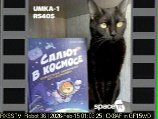 Horacio Rasetti tweet media