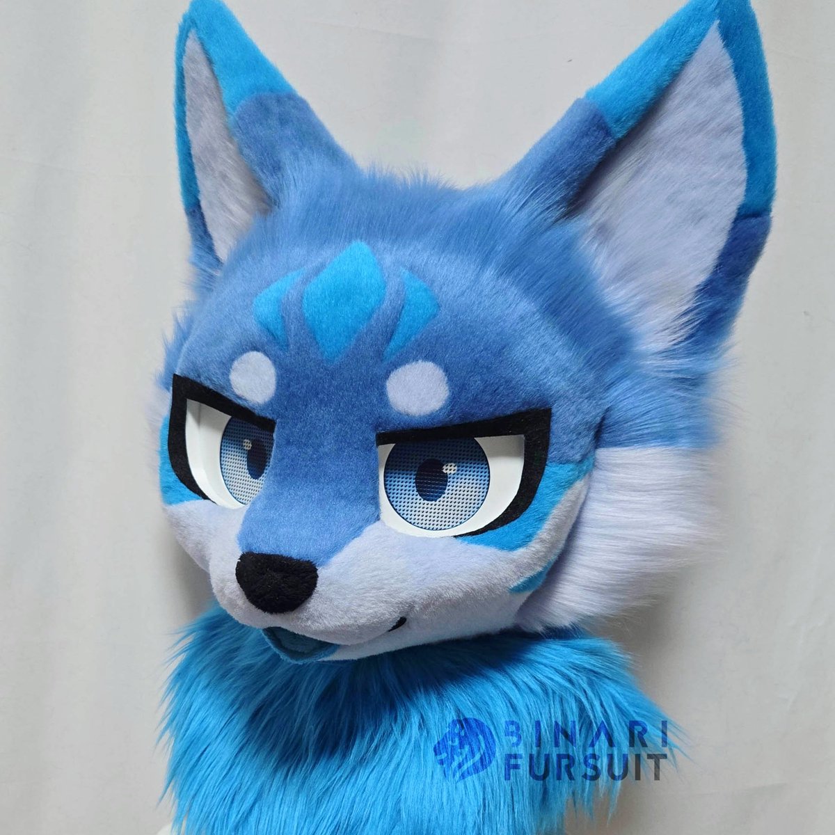 BINARI FURSUIT tweet media