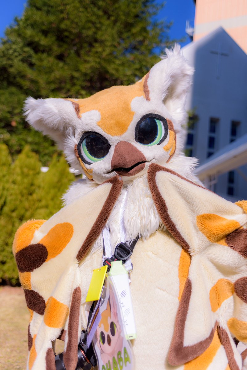 パリジャン🥖 tweet media