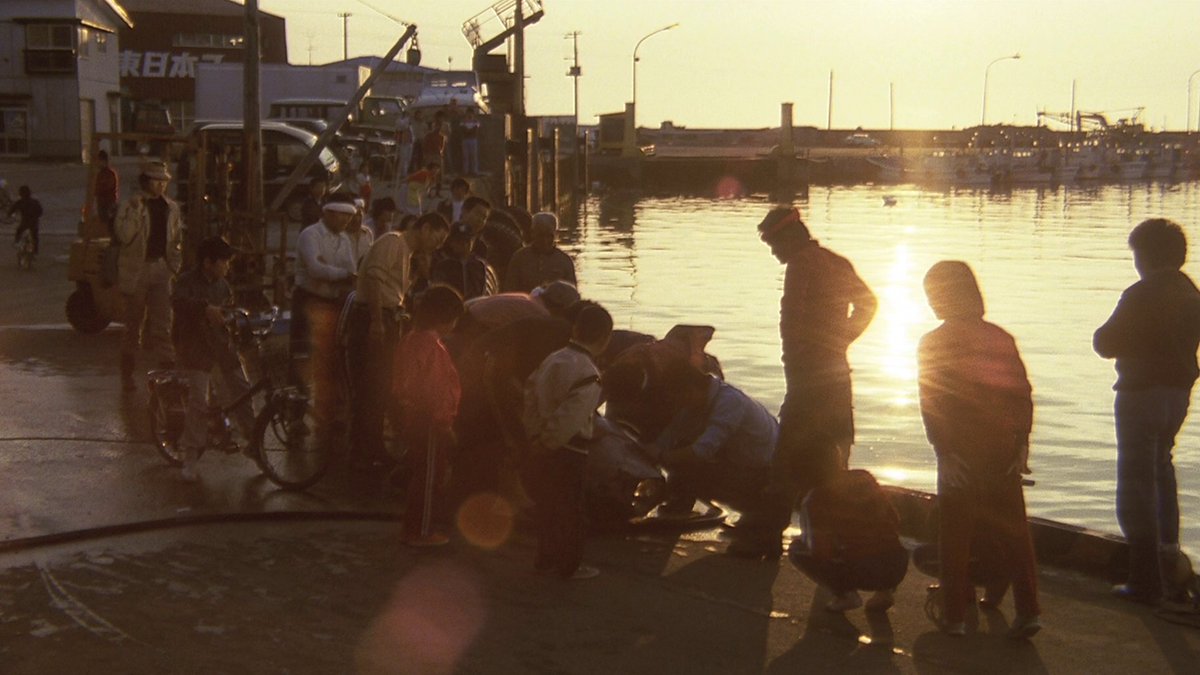 Nicolas Pedrucci tweet media