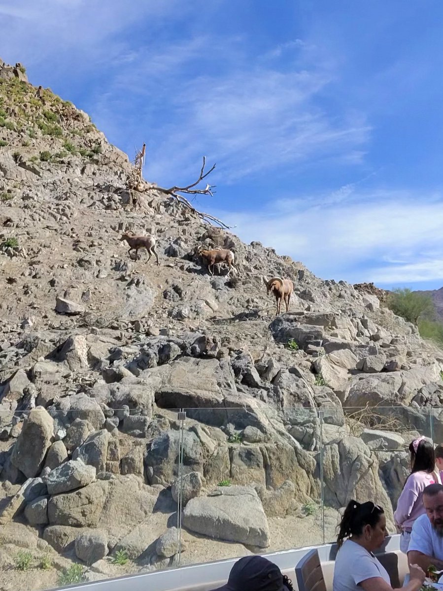 Jason Ty tweet media