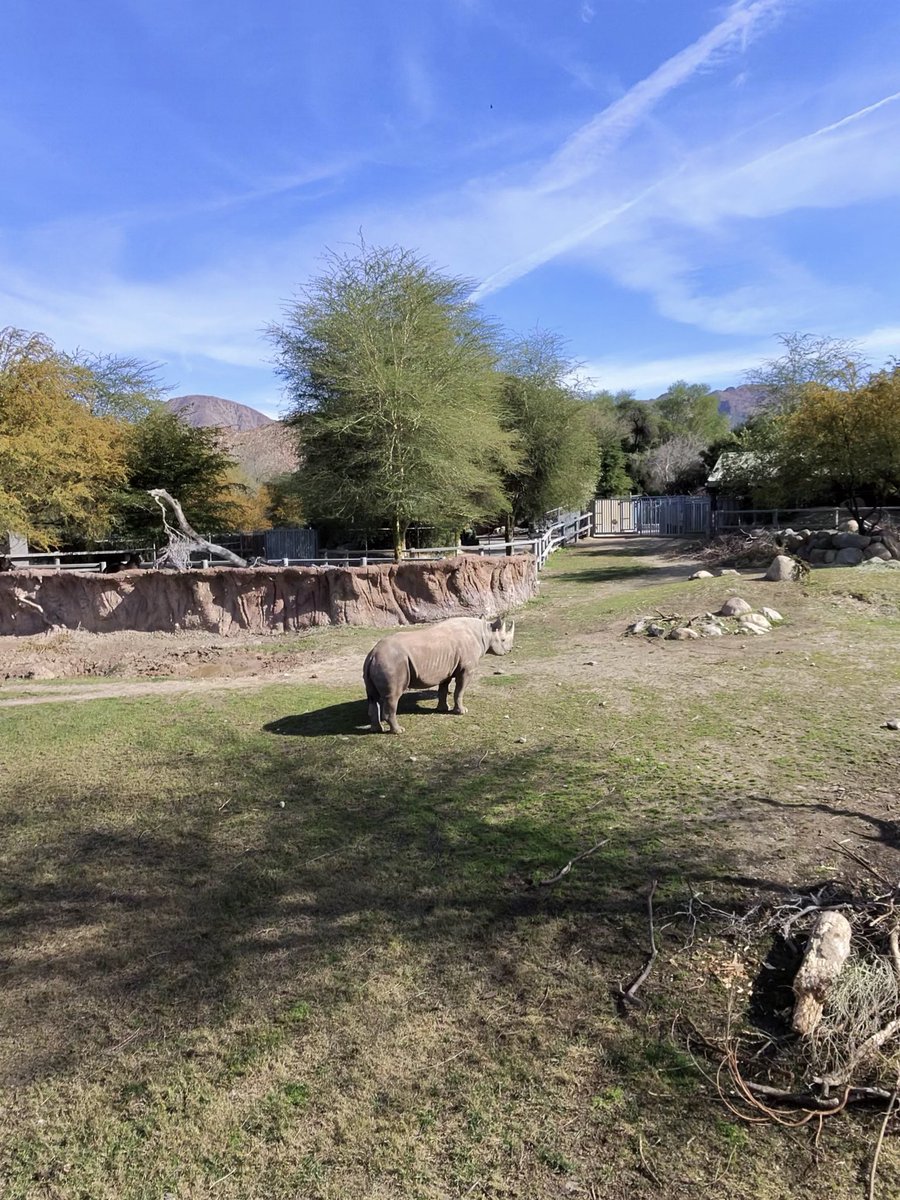 Jason Ty tweet media