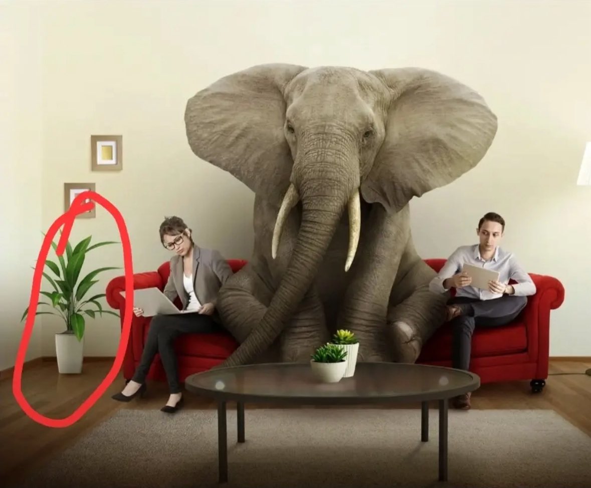 Evening all. New English lesson for you: I am a "plonker". That means I'm an idiot. I decided to buy a secondhand iPad to play LADS this week, and I've just realised I forgot to buy it. See? I am a PLONKER. Next week I promise 🥲