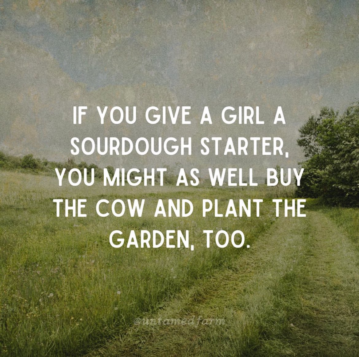 Bee’s Little Ranch tweet media