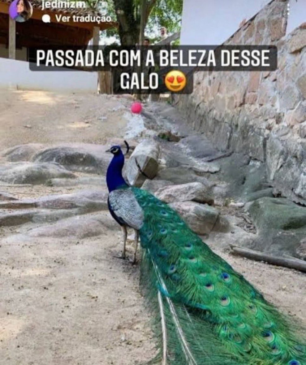 bardo (@juliteodeio) on Twitter photo 