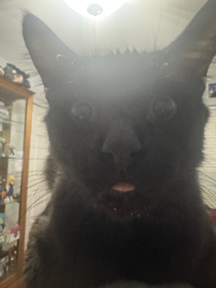 #RivalsUniteInDokkan booo