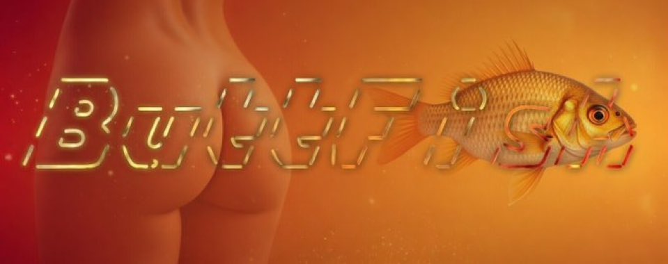 Buttfish Coin tweet media