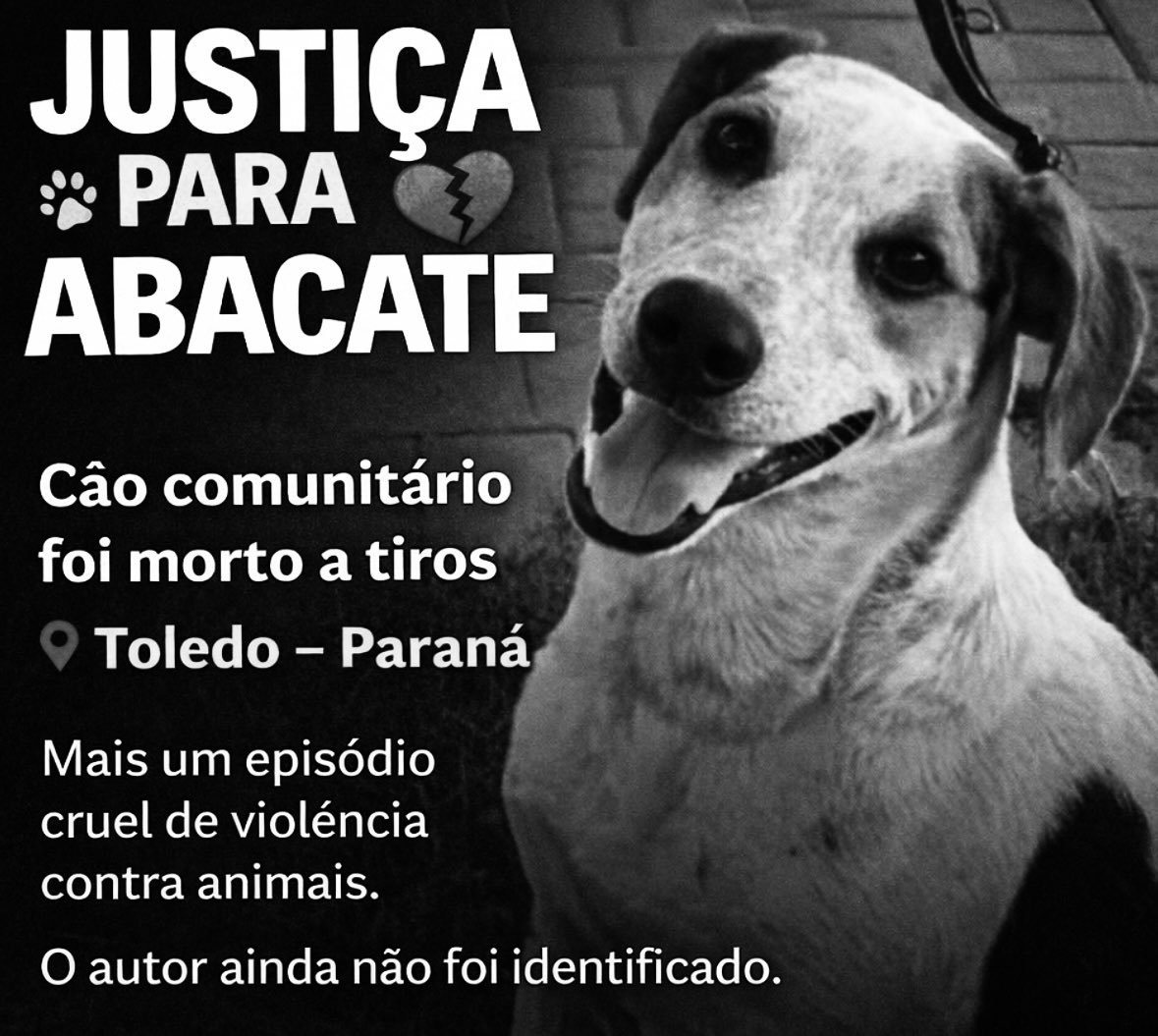 Justiça pelo cão Abacate 🐾🍃
Que sua dor não seja em vão, que sua história vire força, e que o amor que você deixou no mundo se transforme em punição para quem feriu e proteção para quem ainda vive.
Abacate merece justiça. Hoje, amanhã e sempre. 💚🐶
#JustiçaParaAbacate