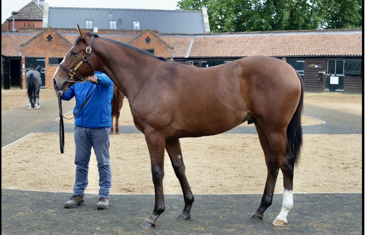 Car Colston Hall Stud tweet media