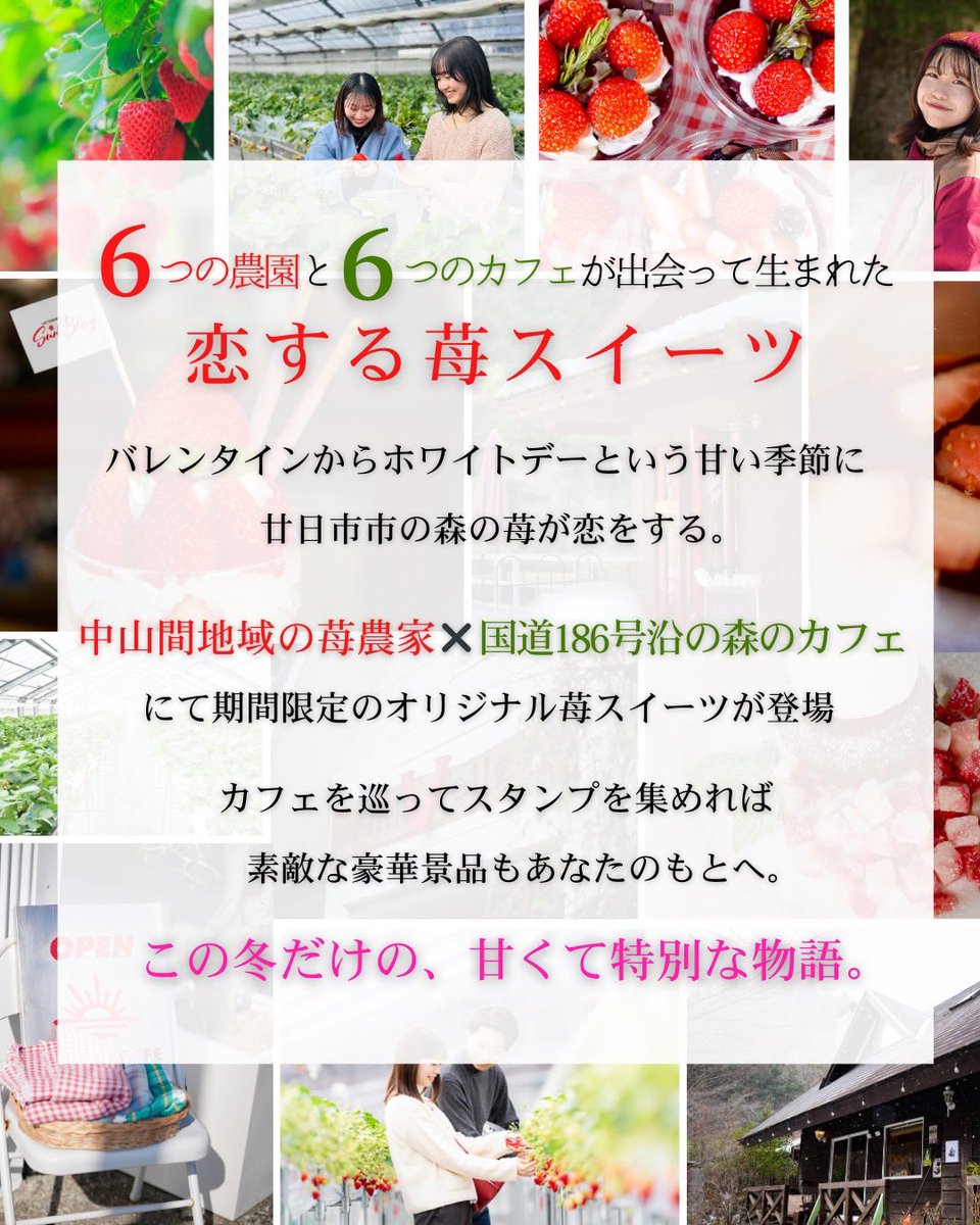 サンブレイズ女子野球 tweet media