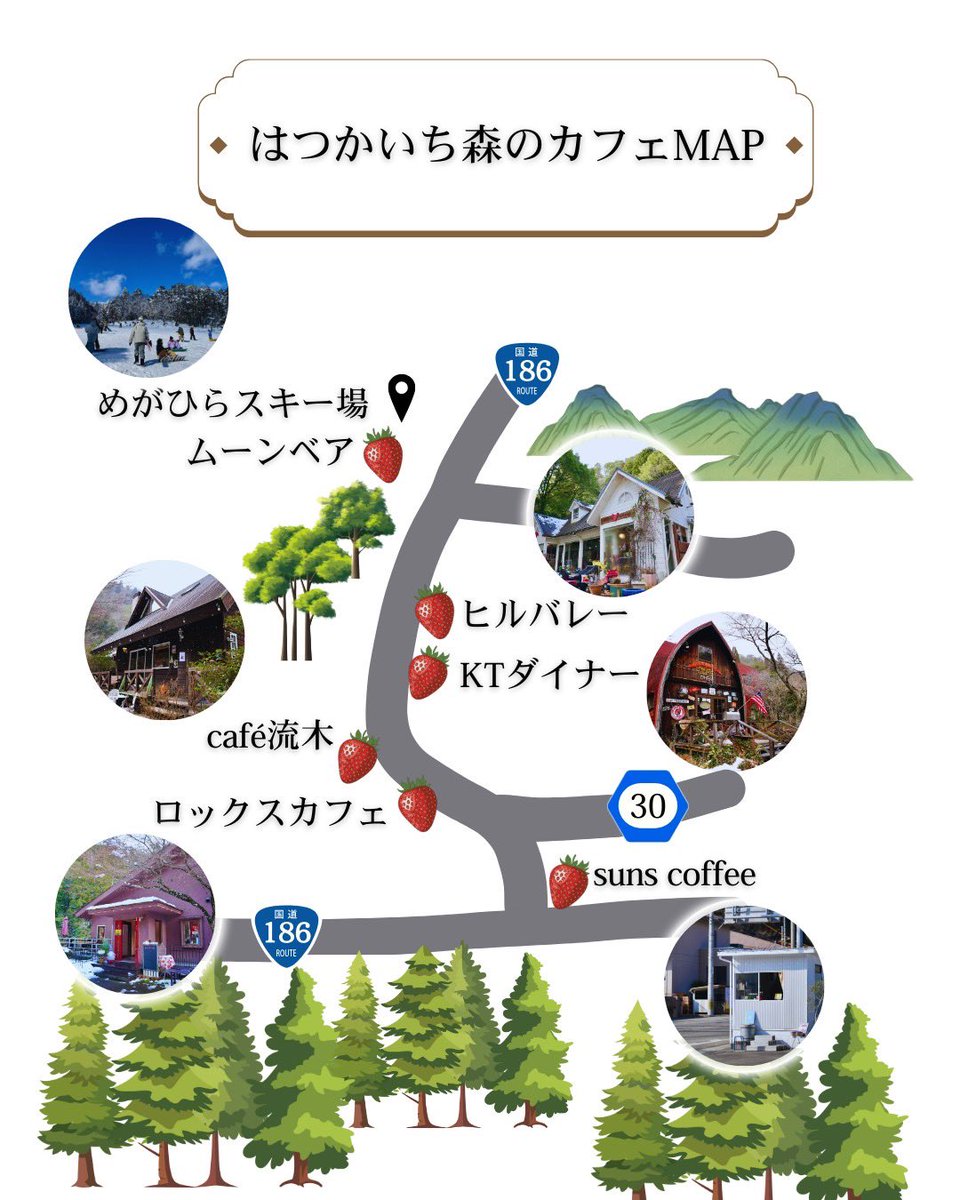 サンブレイズ女子野球 tweet media