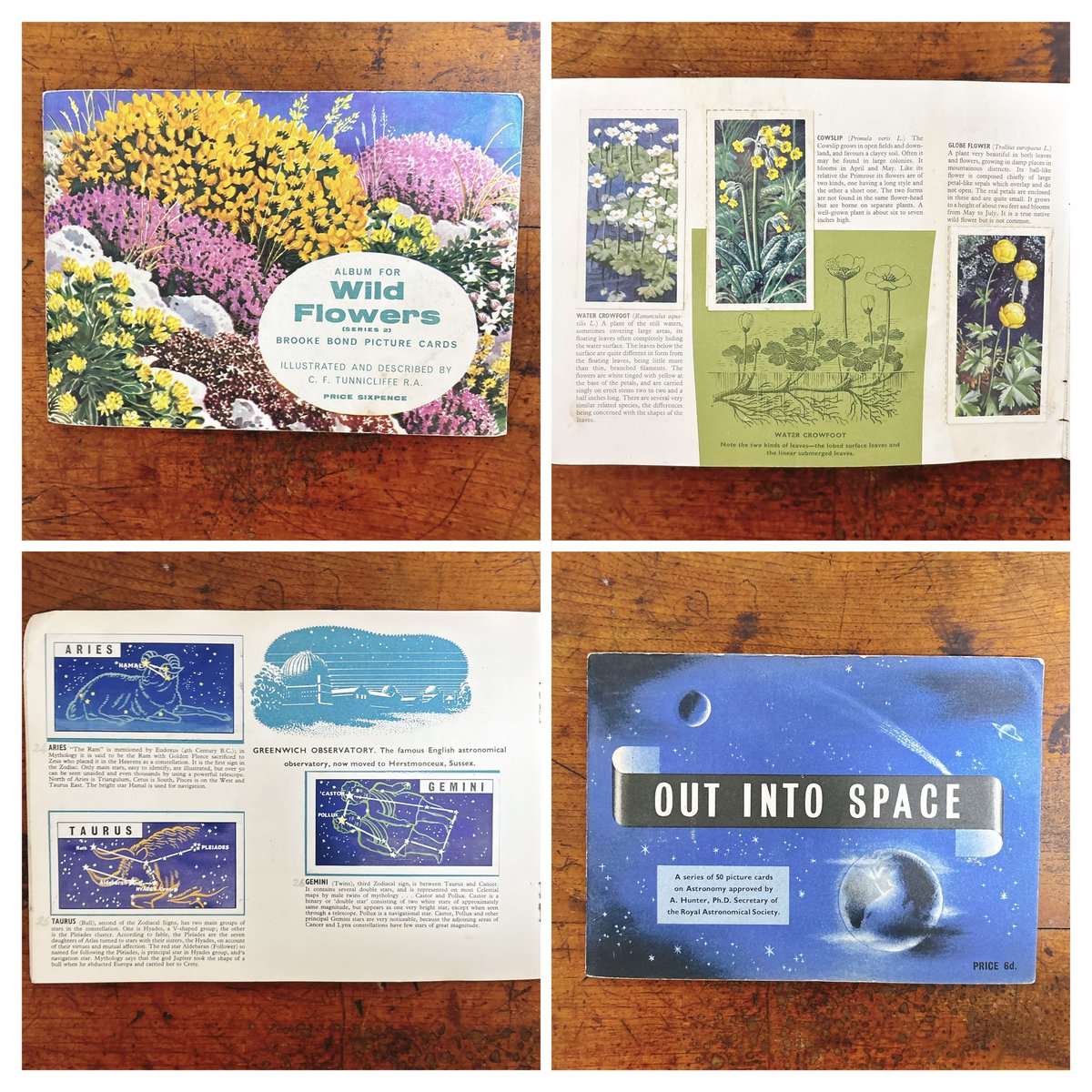 いと本/ いとぽん tweet media