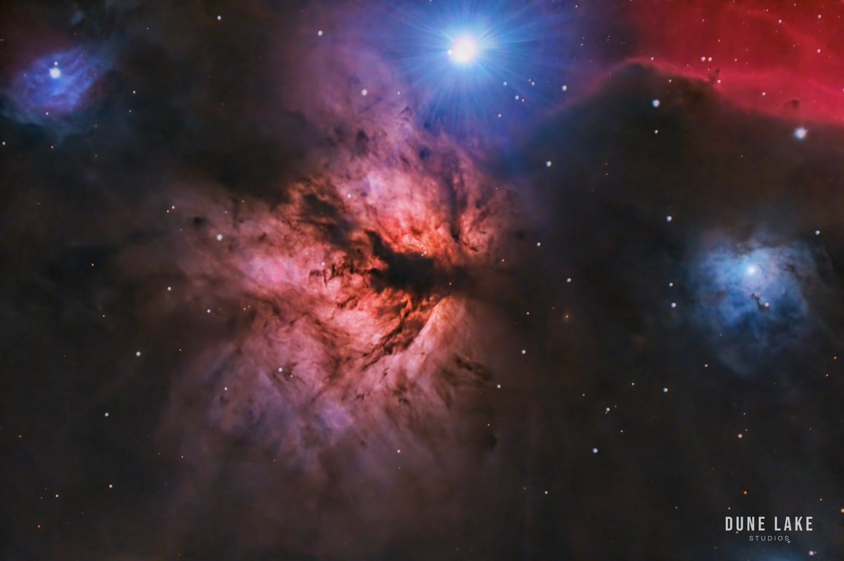 David Warren tweet media