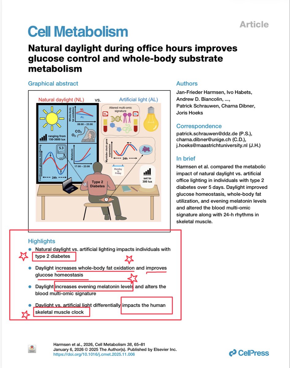 DrGrimmMD's tweet photo. Your Office Lights Might Be Making Your Diabetes Worse. Should we start filing for “Workman’s Compensation?”

I’m not trying to be dramatic, but a new randomized crossover study in Cell Metabolism showed something that should make all of us pause. People with type 2 diabetes were placed in two nearly identical office environments for 4.5 days. Same meals. Same sleep timing. Same activity. The only thing that changed was the lighting. One condition used typical artificial office light around 300 lux. The other used natural daylight through windows. Not outside sun exposure. Just daylight coming through glass.

The results were not subtle. Under natural daylight, participants spent more time in the normal glucose range. Their whole-body metabolism shifted toward greater fat oxidation. Evening melatonin output was higher. Skeletal muscle clock genes shifted phase. Ceramide-related lipid signatures, which are strongly linked to insulin resistance, moved in a favorable direction.

Nothing about calories changed. Only the light changed. And in such a short period of time. 

That matters because glucose stability is not just about carbohydrate intake. Time-in-range is tied to long-term outcomes and mortality risk in diabetes. In this study, natural daylight increased time spent in the normal glucose range without altering medication or diet. It also reduced the amplitude of 24-hour glucose swings. That suggests improved circadian coherence, not just a transient metabolic blip.

Now here is where it gets deeper. Natural daylight increased evening melatonin levels. We have been mistaken that melatonin is JUST a sleep hormone.
It regulates mitochondrial function, redox balance, autophagy, and apoptotic signaling. It stabilizes healthy cells and helps damaged ones exit cleanly. Ceramides, on the other hand, promote insulin resistance and inflammatory signaling. The fact that daylight exposure was associated with both stronger melatonin output and lower ceramide signatures is not random. That is metabolic timing interacting with cellular quality control.

For those of you who have read John Ott, this should feel familiar. Decades ago, Ott showed that animals and plants raised under full-spectrum light behaved differently than those raised under narrow artificial light. Their growth patterns changed. Tumor behavior changed. Reproductive cycles changed. He was not talking about brightness. He was talking about spectral completeness. Filter the spectrum, change the biology. Something to remember. 

This study did not even use outdoor sun. It used daylight filtered through glass, which blocks UVB/A and attenuates portions of infrared. And it still shifted clock gene expression, lipid signaling, and substrate selection. Imagine what would happen if participants had stepped outside mid-morning and mid-afternoon. Imagine layering in UVA nitric oxide release and near-infrared mitochondrial stimulation. The effect we are seeing here may be a conservative estimate.

Here is the practical question. How many people with metabolic disease spend eight to ten hours a day under static LED panels and then try to fix everything with diet and medication? We redesign offices for posture and productivity but rarely question the spectral environment. Yet the retina sets the central clock. The clock sets metabolic timing. And metabolic timing influences mitochondrial efficiency and lipid handling.

You can count macros. You can tweak medication. But if your light environment is misaligned, you are swimming upstream.

We have to stop thinking of Light a decoration in the room. It is YOUR metabolic instruction manual.  

Doc, why should you care? Because the built environment may be nudging glucose variability and mitochondrial stress every single workday. And it is a lever most clinicians are not even thinking about yet.

Field Medicine says: fix the signal first.