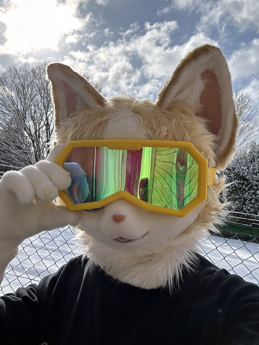 🥽🐈🐾
#FursuitEveryday