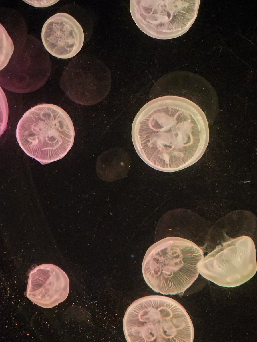 Rach ✨ tweet media