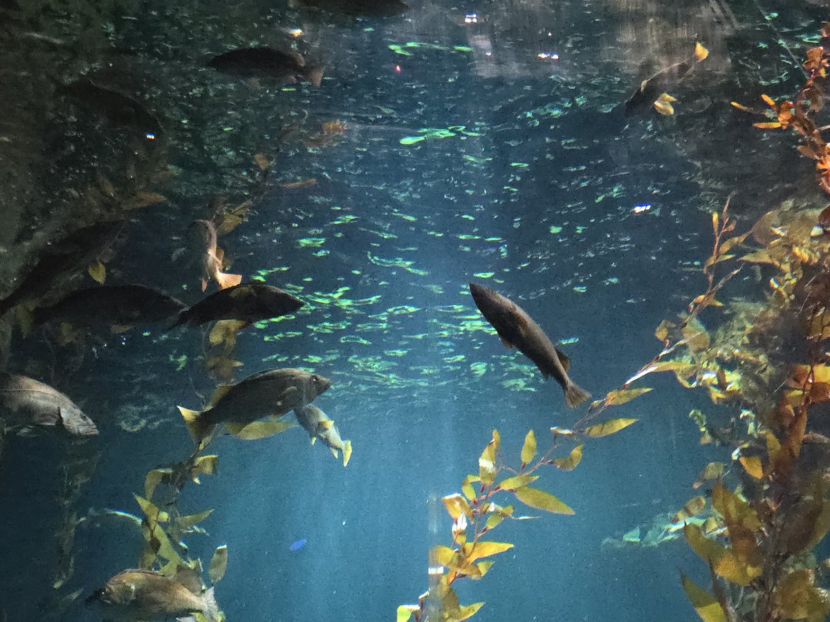 Rach ✨ tweet media