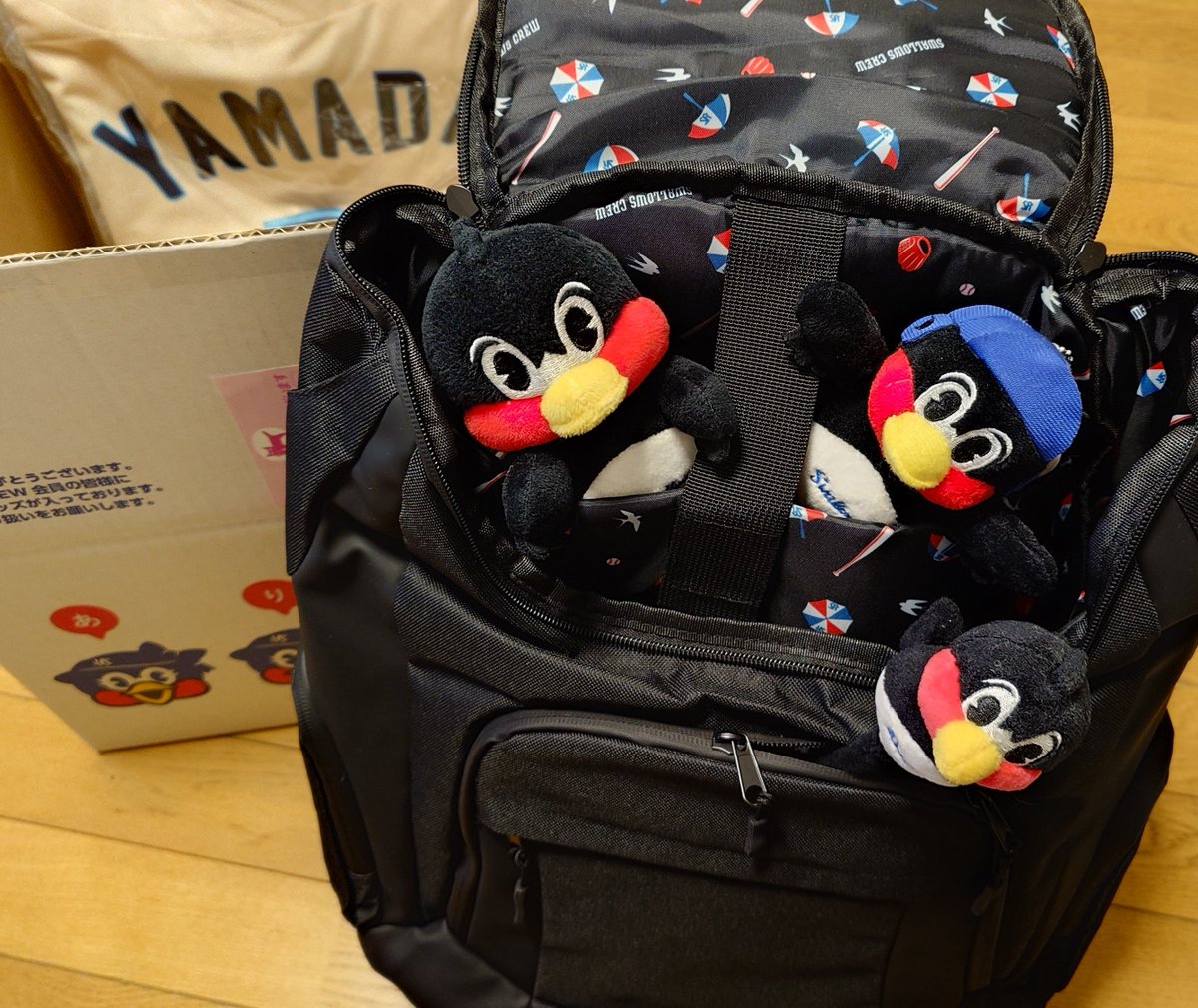 ちゅうりっぷ🌷 tweet media