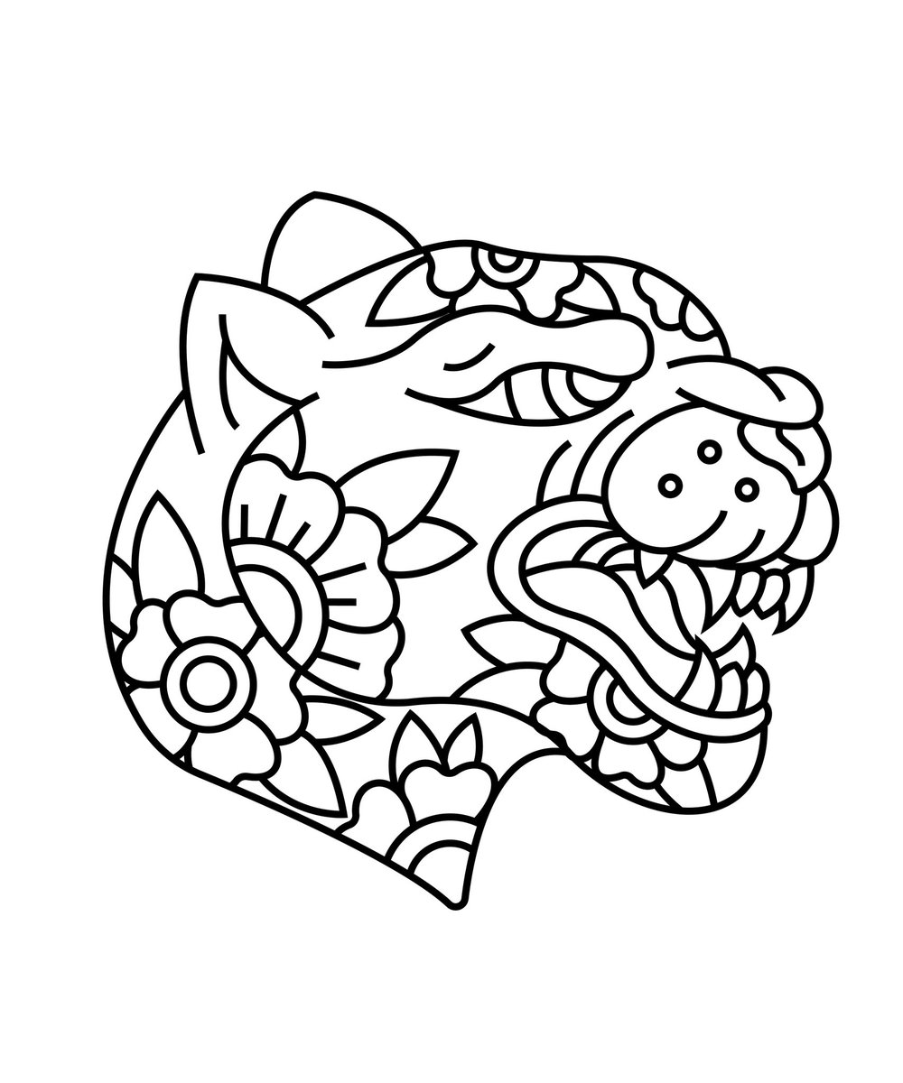 Shred Studios tweet media