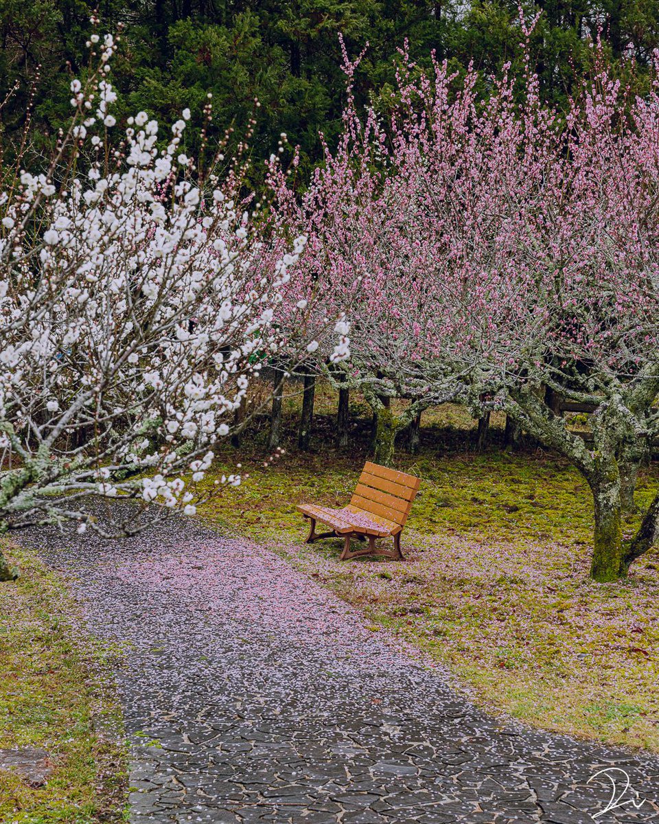 稲田大樹 / Daiki Inada tweet media