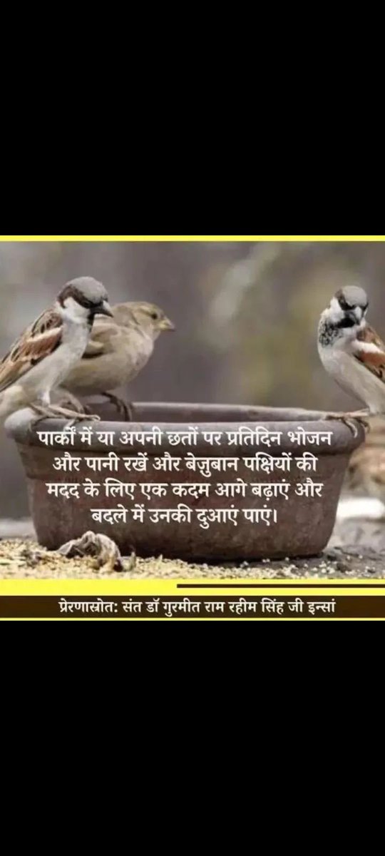 Parmind21230735's tweet photo. It is our duty to save &amp; protect every creature. With the Holy Inspiration of Saint Gurmeet Ram Rahim Ji  Volunteers of Dera Sacha Sauda not only save lives of animals &amp; birds but also help them to survive by providing shelter and food . #FeedEveryCreature https://t.co/oUuK9j2IVq