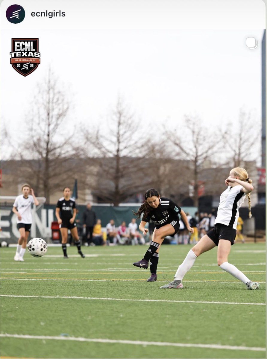 Zac Tassone tweet media