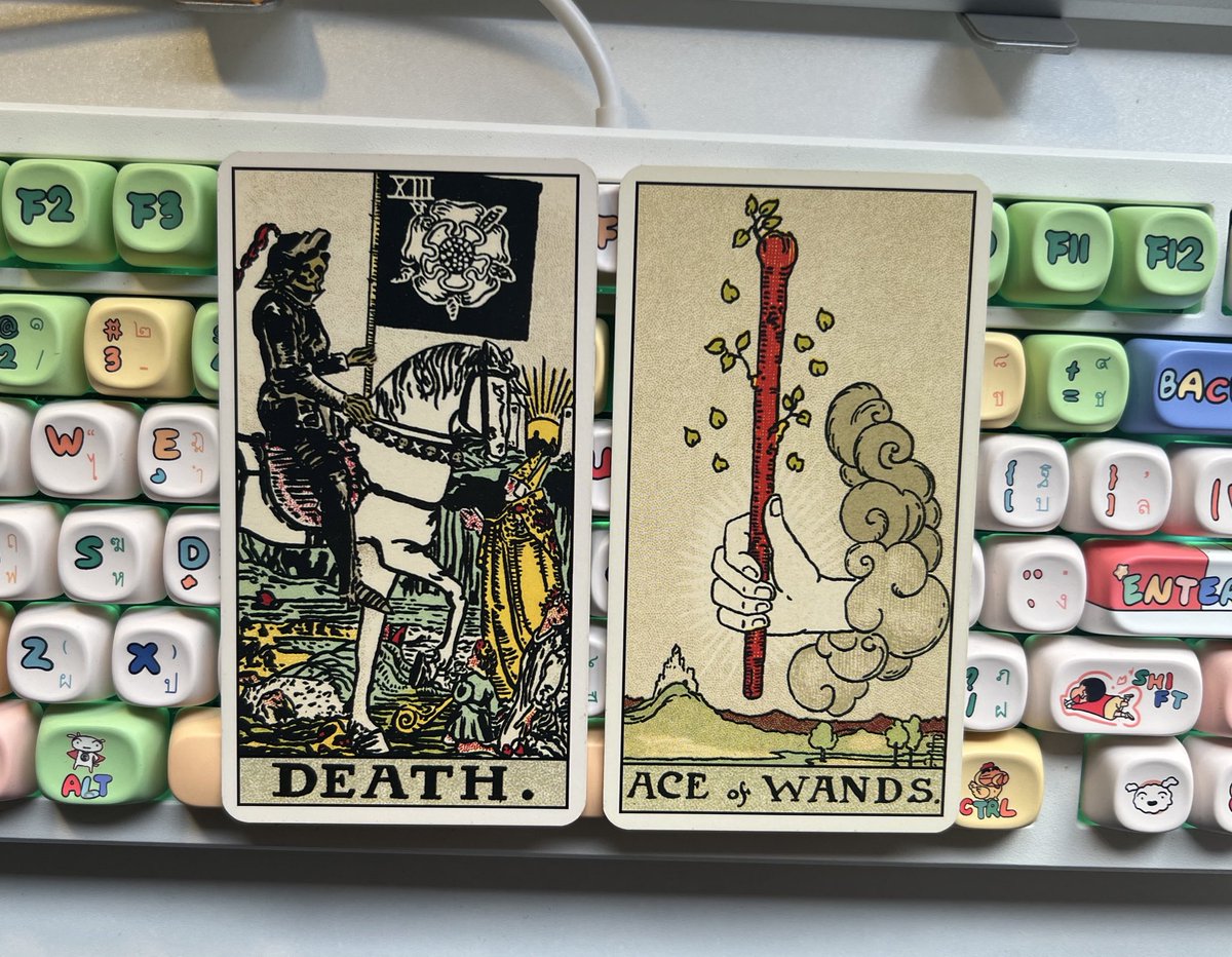 🌱 แด่ผู้ที่ผ่านมาพบเห็นข้อความนี้

พี่ไพ่บอกว่าชีวิตคุณหลังจากนี้มันคือจุดจบที่ไม่ใช่แค่เปลี่ยนบรรยากาศ แต่มันคือปิดฉากของเดิมแบบจริงจัง ตัดขาด ถอนราก ถอนโคน ไม่เหลือพื้นที่ให้ย้อนกลับไปเหมือนเดิมอีกแล้ว

คุณกำลังจะหลุดจากบางอย่างที่มันหมดอายุ หมดใจ มันหมดความหมายไปแล้ว