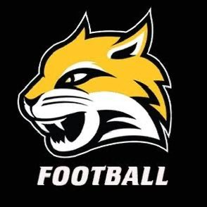 Sam Moser tweet media