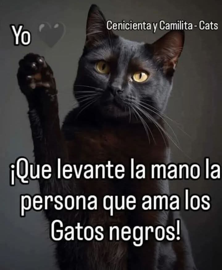 Manu Saenz💛💛 tweet media