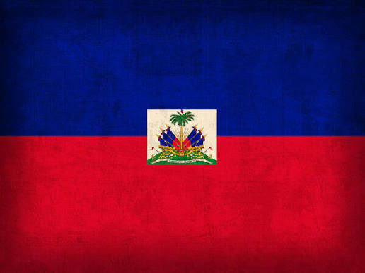 Haiti is so important to to the Diaspora and I really wanted to honor that by creating a library based on Haiti and the people. Their history &amp; culture is so rich,they shaped history in monumental ways. This for the Zoe y’all great. 💙❤️🤍

tinyurl.com/5xyzfcfa