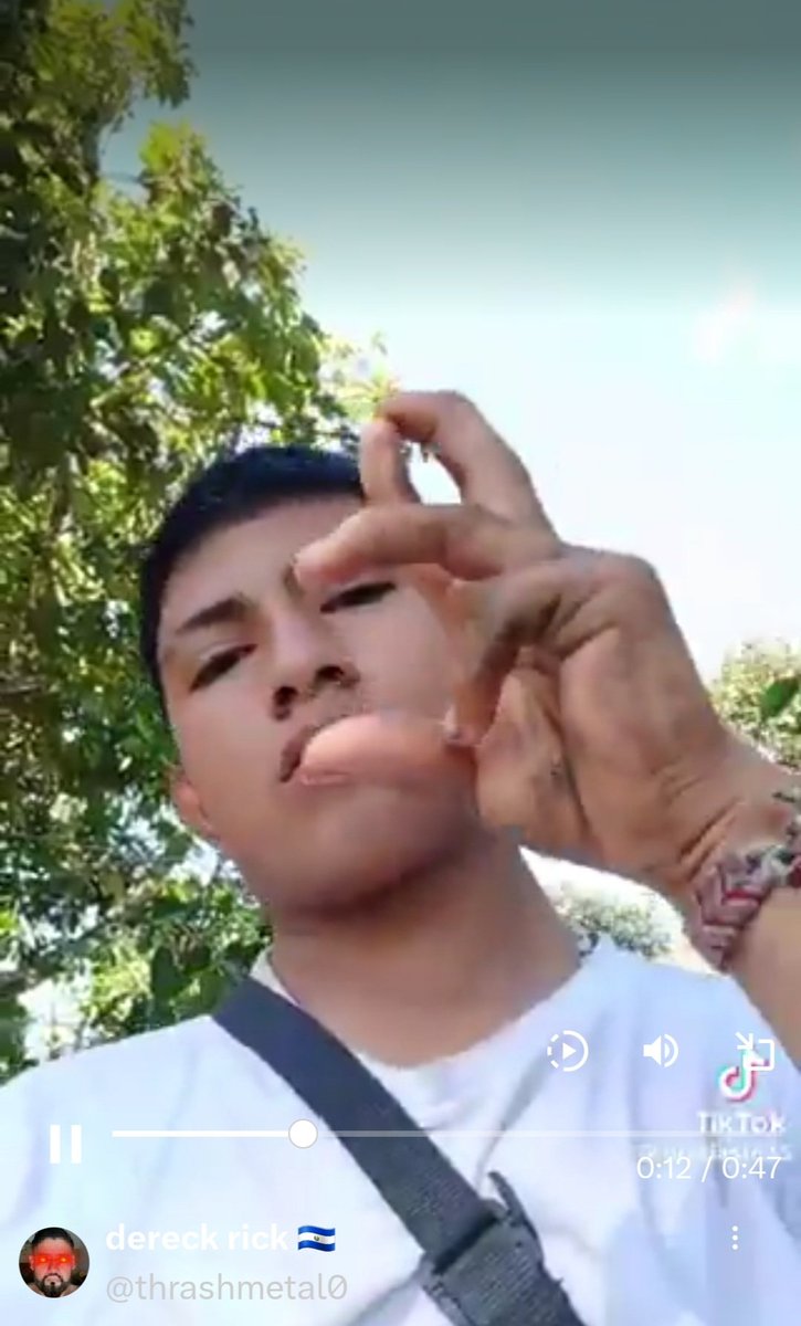 SUJETO QUE REALIZA GESTOS ASOCIADOS A ESTRUCTURAS CRIMINALES

En redes sociales comenzaron a circular imágenes en las que se observa a un individuo realizando ademanes que, según diversos usuarios, estarían vinculados al lenguaje gestual utilizado por estructuras pandilleriles.