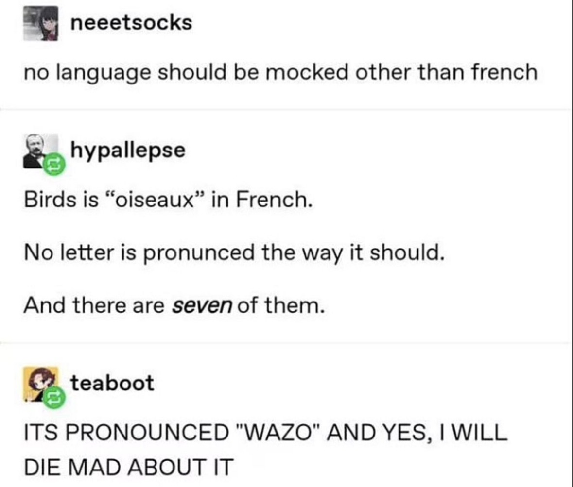 Respectful Memes tweet media