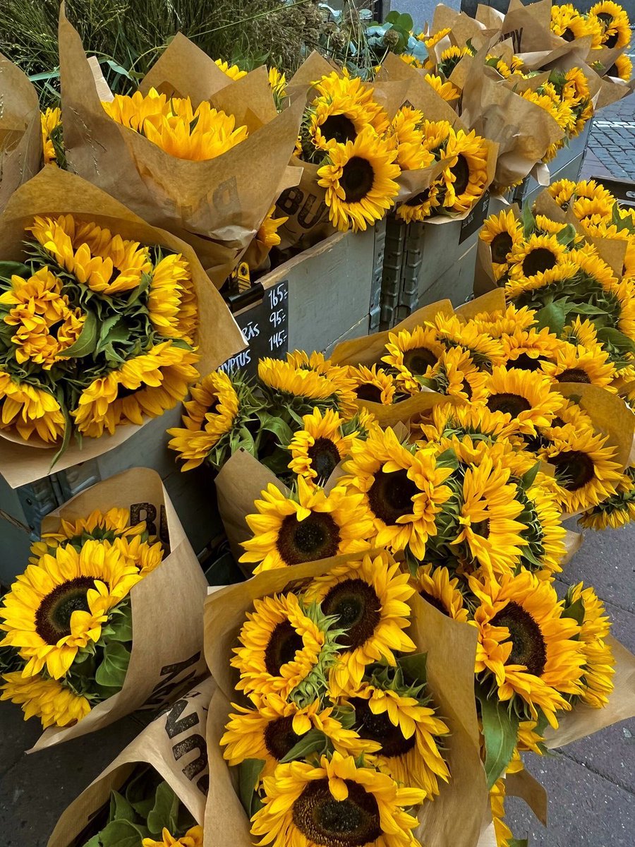 sunflowerchives's tweet image. Sunflowers!🌻